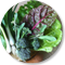 leafy vegetables