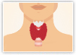 Thyroid